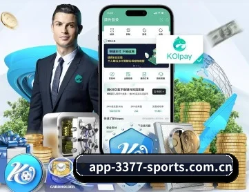 3377体育电脑版 APP 深度功能