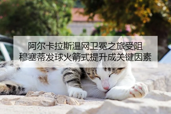 阿尔卡拉斯温网卫冕之旅受阻 穆塞蒂发球火箭式提升成关键因素