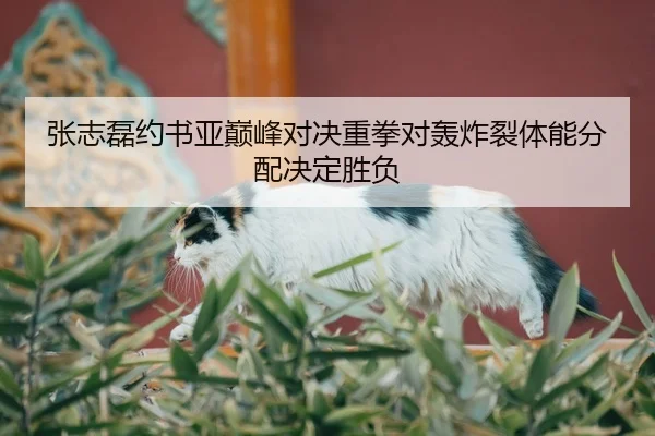 zhang-zhi-lei-yue-shu-ya-dian-feng-dui-jue-zhong-quan-dui-hong-zha-lie-ti-neng-fen-pei-jue-ding-sheng-fu-2-427.jpg