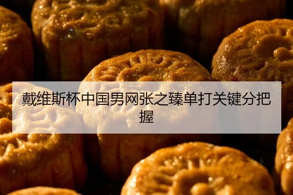 戴维斯杯中国男网张之臻单打关键分把握