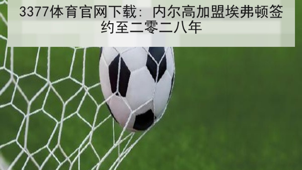 3377体育官网下载: 内尔高加盟埃弗顿签约至二零二八年