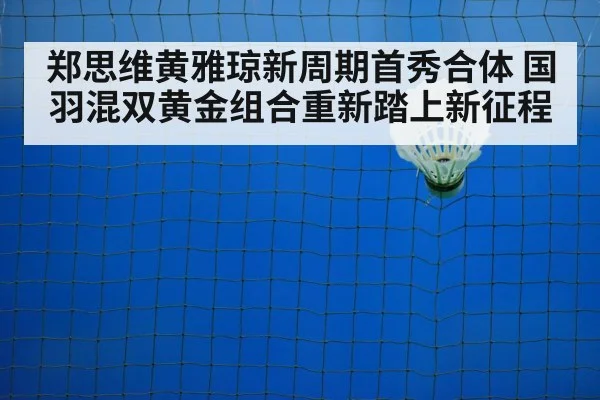 badminton training court